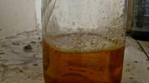 Photo from Rubba Dub Duck