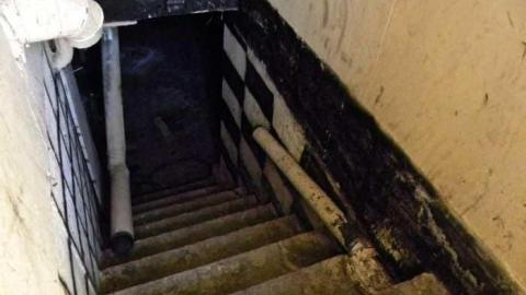 Rubba Dub Duck - DSCN4593.jpg