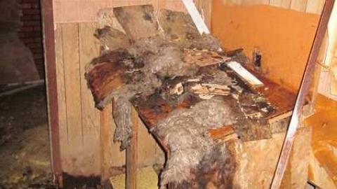 Ice cold - Leaning-House3.jpg