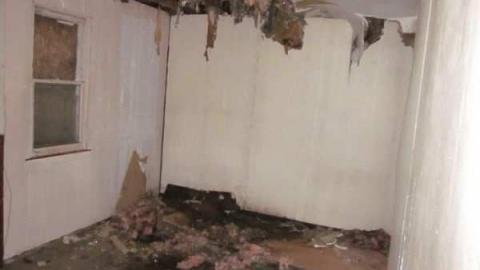 Leaning House photo 5