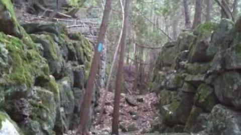 Photo from Hoffman Kiln Ruins