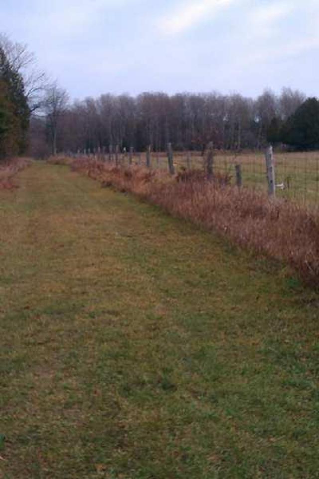 McVicar Pioneer Cemetery photo 5