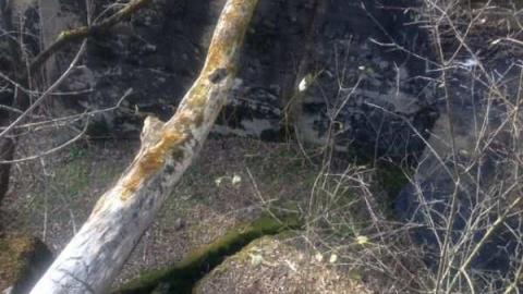 Mill Remains - Moorey-Grist-Mill2.jpg