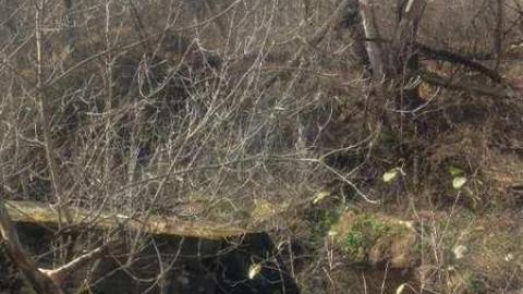 Moorey Grist Mill photo 3