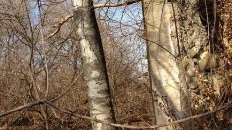 Moorey Grist Mill - Clarington, Ontario