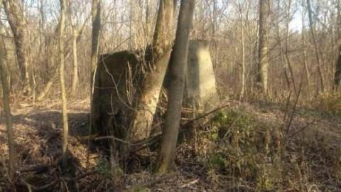 Mill Remains - Moorey-Grist-Mill6.jpg