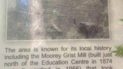 Mill Remains - Moorey-Grist-Mill7.jpg