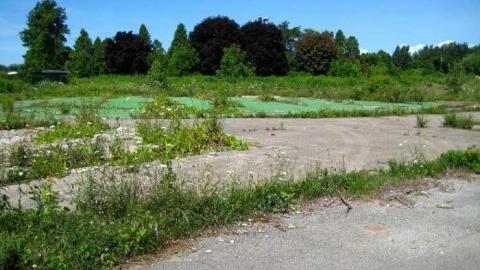 Gallery - Wet-And-Wild-Waterpark132.jpg