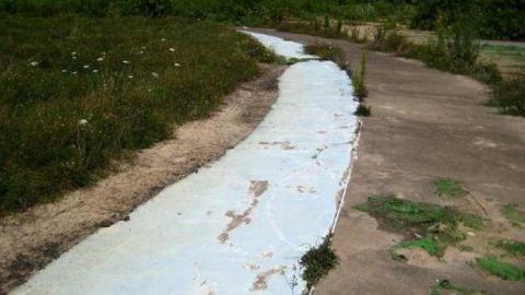 Wet And Wild Waterpark photo 3