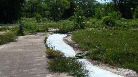 Gallery - Wet-And-Wild-Waterpark135.jpg