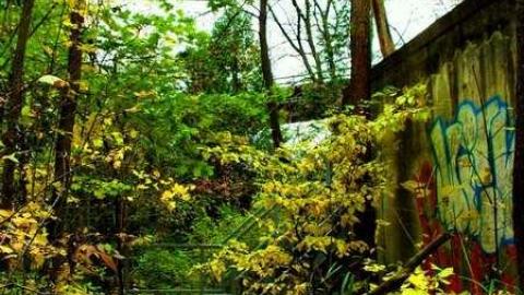 Milling About - Progreston-(ghost-town)34.jpg