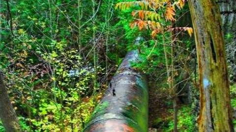 Milling About - Progreston-(ghost-town)46.jpg