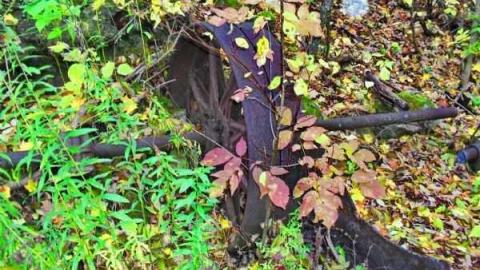 Photo from Milling About