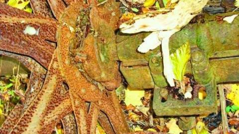 Milling About - Progreston-(ghost-town)37.jpg