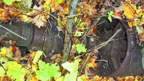 Photo from Milling About