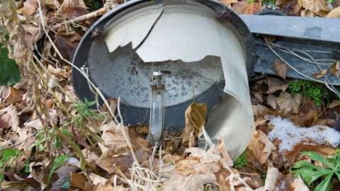 Nov 23, 2008 - Wet-And-Wild-Waterpark102.jpg