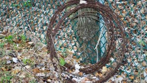 Nov 23, 2008 - Wet-And-Wild-Waterpark108.jpg