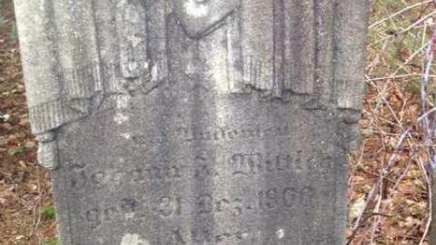 Sandhills Baptist Cemetery photo 3