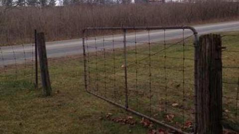 Sandhills Baptist Cemetery - Woolwich, Ontario