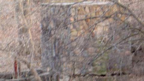 Gallery - Cedar-Valley-Mill-remains2.jpg