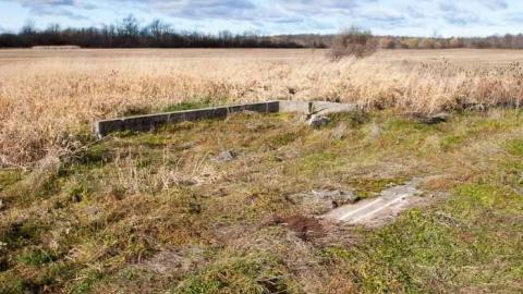 Weird Grass (aka Logan Ruins) cover photo