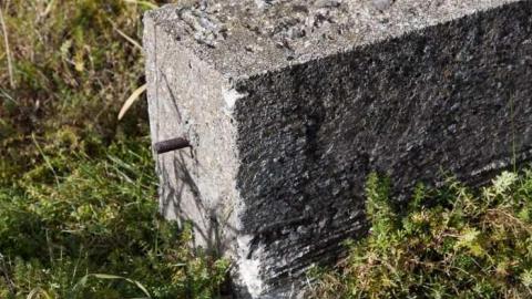 Nov 24, 2012 - Weird-Grass-(aka-Logan-Ruins)14.jpg