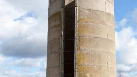 Nov 24, 2012 - Weird-Grass-(aka-Logan-Ruins)20.jpg