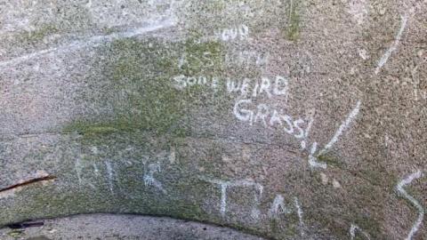 Nov 24, 2012 - Weird-Grass-(aka-Logan-Ruins)15.jpg