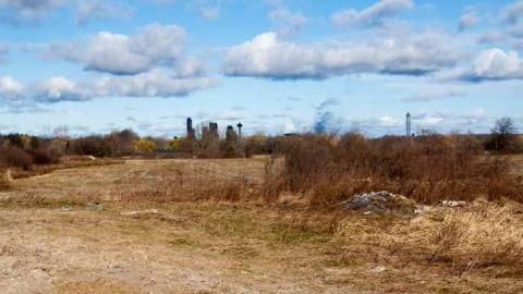 Nov 24, 2012 - Weird-Grass-(aka-Logan-Ruins)17.jpg