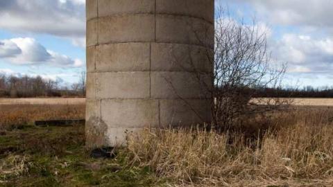 Nov 24, 2012 - Weird-Grass-(aka-Logan-Ruins)23.jpg