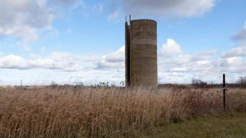 Nov 24, 2012 - Weird-Grass-(aka-Logan-Ruins)24.jpg