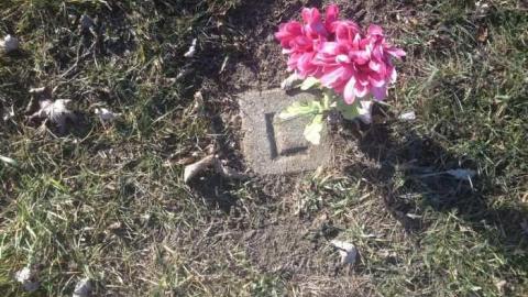 Not Forgotten - Mimicos-Potters-Field14.jpg