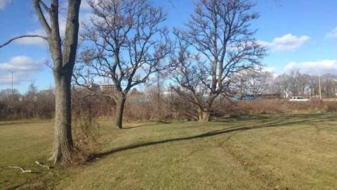 Mimico's Potters Field photo 4