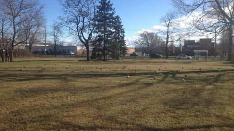 Not Forgotten - Mimicos-Potters-Field12.jpg