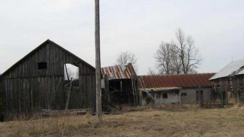 Gallery - Branch-Road17.jpg