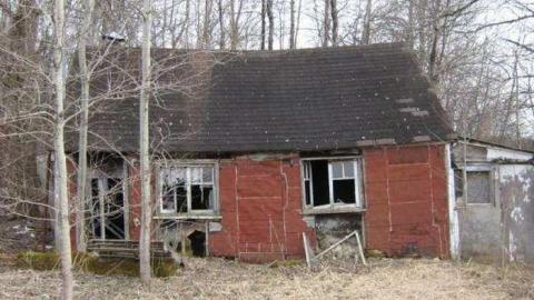 Gallery - Branch-Road19.jpg