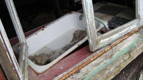 Gallery - Branch-Road20.jpg