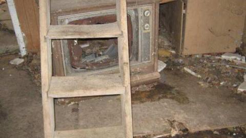 Gallery - Branch-Road22.jpg