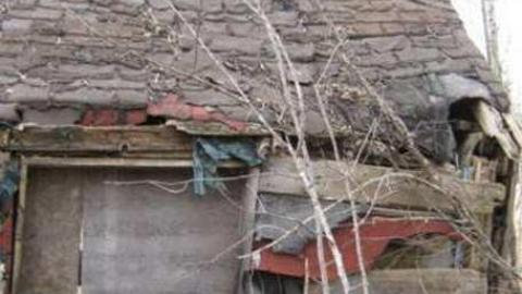 Gallery - Branch-Road27.jpg