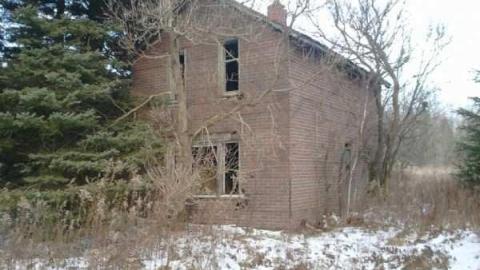 Perfectamundo Decay - Insulbrick-House81.jpg