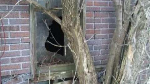 Perfectamundo Decay - Insulbrick-House86.jpg