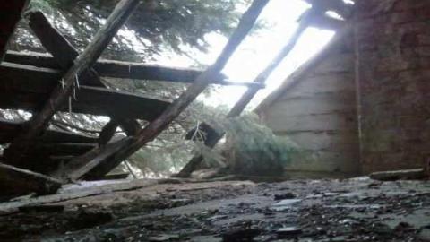 Perfectamundo Decay - Insulbrick-House57.jpg