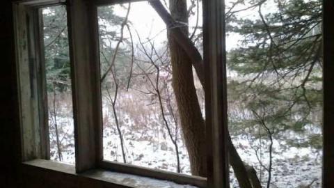 Perfectamundo Decay - Insulbrick-House60.jpg