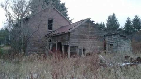 Perfectamundo Decay - Insulbrick-House79.jpg