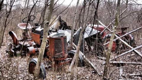 Stairway to Heaven - Pelham, Ontario