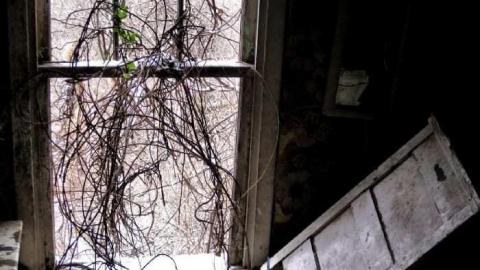 Stairway to Heaven - 027 - IMG_1034bX.jpg