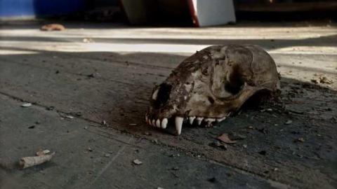 Pink - House-with-a-View135.jpg