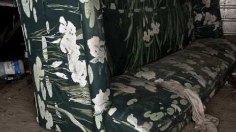 Clawing Upwards - Facade13.jpg