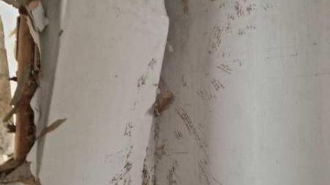 Clawing Upwards - Facade17.jpg