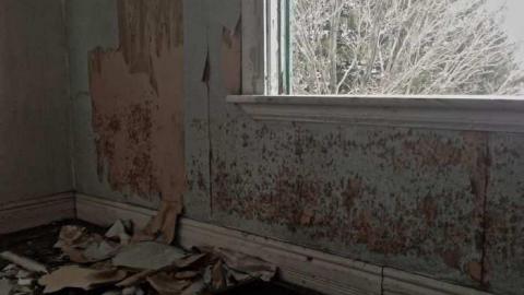 Clawing Upwards - Facade20.jpg